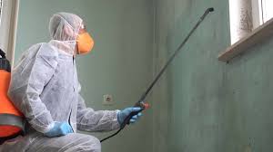 Why You Should Choose Our Mold Remediation Services in Roebuck, SC