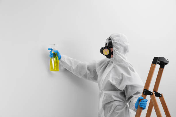 Best Biohazard Mold Removal in Roebuck, SC